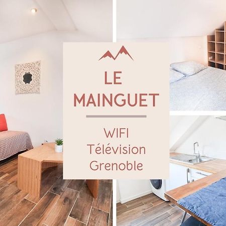 Le Mainguet - Appartement Cosy - เกรอน็อบล์ ภายนอก รูปภาพ