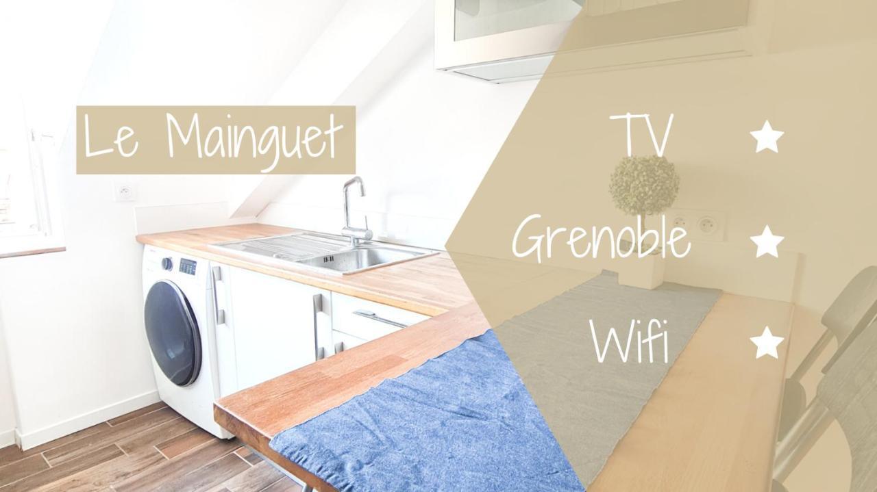 Le Mainguet - Appartement Cosy - เกรอน็อบล์ ภายนอก รูปภาพ